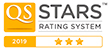 Q Stars