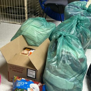 34c8e323-6723-4eb8-abb6-5440ea524d23