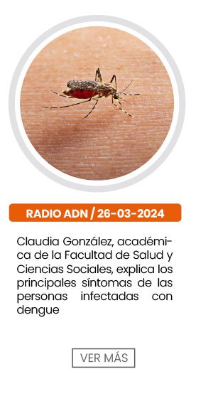 Claudia González, académica de la Facultad de Salud y Ciencias Sociales, explica los principales síntomas de las personas infectadas con dengue