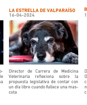 Directora de Carrera de Medicina Veterinaria reflexiona sobre la propuesta legislativa de contar con un día libre cuando fallece una mascota