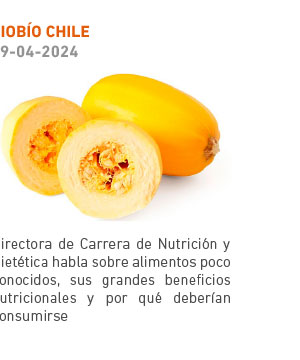 Directora de Carrera de Nutrición y Dietética habla sobre alimentos poco conocidos, sus grandes beneficios nutricionales y por qué deberían consumirse