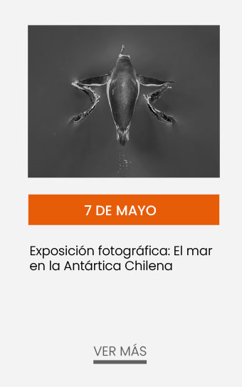 Exposición fotográfica
