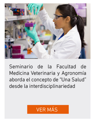 UDLA - Universidad de Las Américas