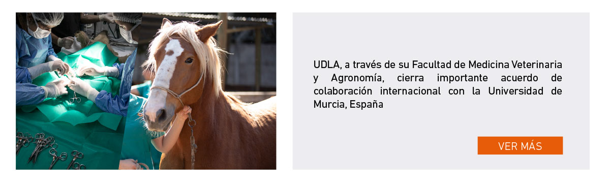 UDLA - Universidad de Las Américas