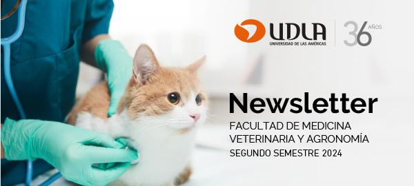 Newsletter Facultad de Medicina Veterinaria y Agronomía | Segundo semestre 2024