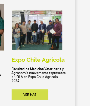 Formación continua