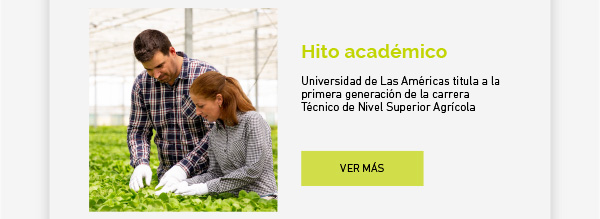 Ciclos disciplinares