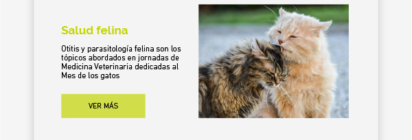 Egresados