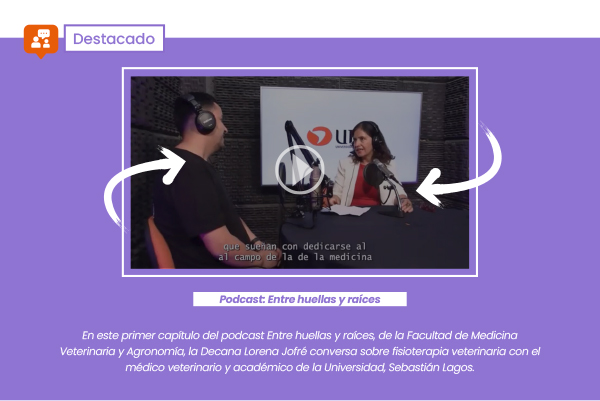 Podcast: Entre huellas y raíces | En este primer capítulo del podcast Entre huellas y raíces, de la Facultad de Medicina Veterinaria y Agronomía, la Decana Lorena Jofré conversa sobre fisioterapia veterinaria con médico veterinario y académico de la Universidad, Sebastián Lagos.