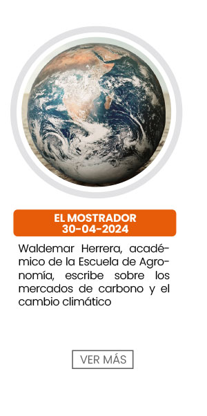 Waldemar Herrera, académico de la Escuela de Agronomía, escribe sobre los mercados de carbono y el cambio climático