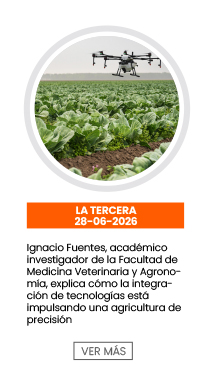 Ignacio Fuentes, investigador de la Facultad de Medicina Veterinaria y Agronomía, explica cómo la integración de tecnologías está impulsando una agricultura de precisión | La Tercera 