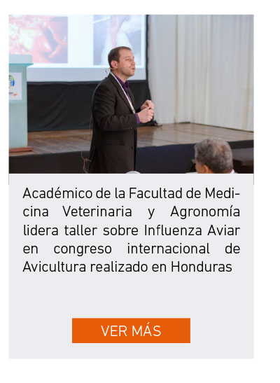 Universidad de Las Américas