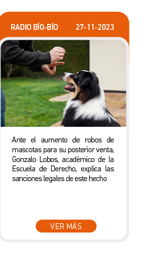 Ante el aumento de robos de mascotas para su posterior venta, Gonzalo Lobos, académico de la Escuela de Derecho, explica las sanciones legales de este hecho