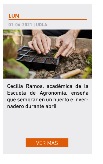 UDLA - Universidad de Las Américas
