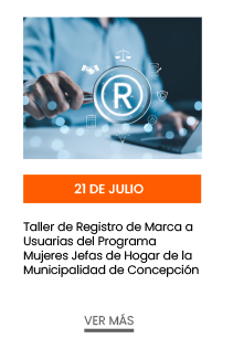 21 de julio. Taller de Registro de Marca a Usuarias del Programa Mujeres Jefas de Hogar de la Municipalidad de Concepción  