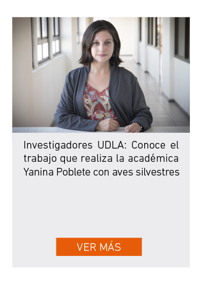 UDLA - Universidad de Las Américas