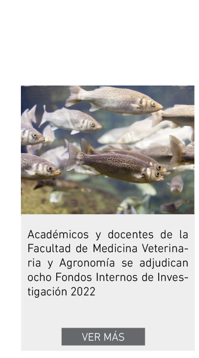 UDLA - Universidad de Las Américas