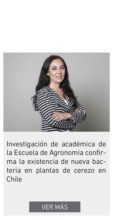 UDLA - Universidad de Las Américas