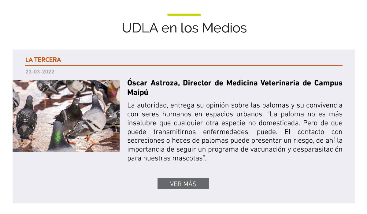 UDLA - Universidad de Las Américas