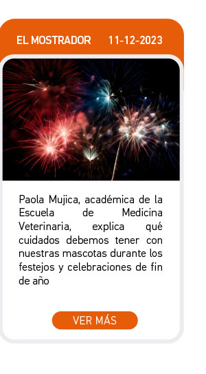 Paola Mujica, académica de la Escuela de Medicina Veterinaria, explica qué cuidados debemos tener con nuestras mascotas durante los festejos y celebraciones de fin de año