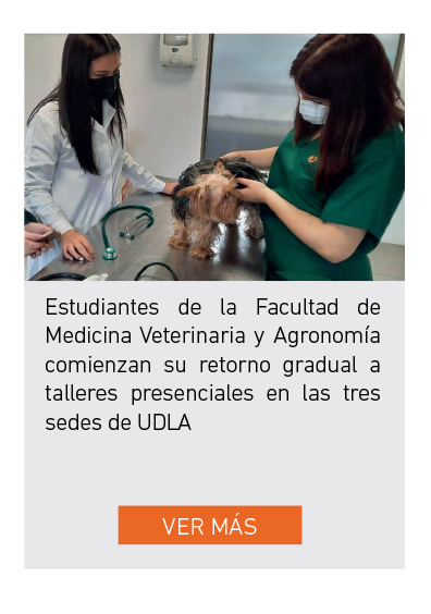 UDLA - Universidad de Las Américas