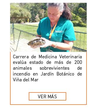 Carrera de Medicina Veterinaria del Campus Los Castaños evalúa estado de más de 200 animales sobrevivientes de incendio en Jardín Botánico de Viña del Mar