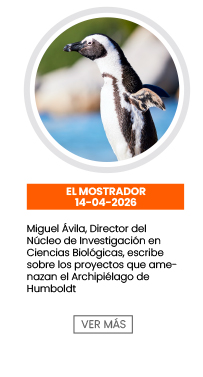 Miguel Avila, Director Núcleo de Investigación en Ciencias Biológicas, escribe sobre los proyectos que amenazan el Archipiélago de Humboldt | El Mostrador 