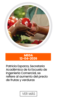 Patricia Esparza, académica Escuela de Ingeniería Comercial, se refiere al aumento de precios de frutas y verduras | Mega