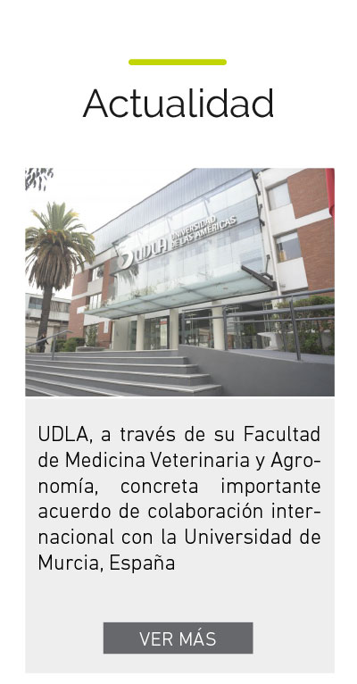 Universidad de Las Américas