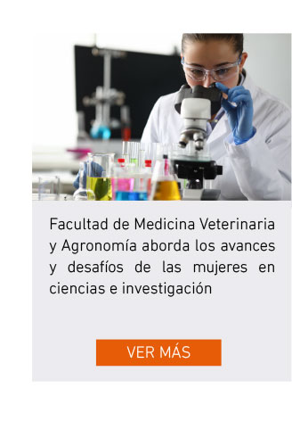 UDLA - Universidad de Las Américas