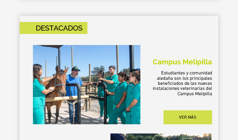 Estudiantes y comunidad aledaña son los principales beneficiados de las nuevas instalaciones veterinarias del Campus Melipilla