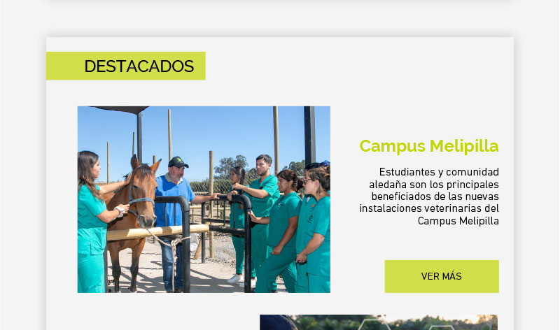 Estudiantes y comunidad aledaña son los principales beneficiados de las nuevas instalaciones veterinarias del Campus Melipilla