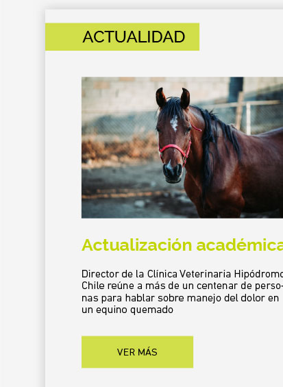 Director de la Clínica Veterinaria Hipódromo Chile reúne a más de un centenar de personas en UDLA para hablar sobre manejo del dolor en un equino quemado