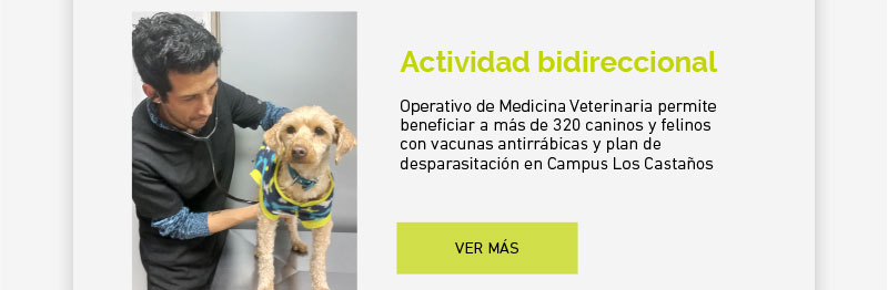 Exitoso operativo de Carrera de Medicina Veterinaria permite beneficiar a más de 320 caninos y felinos con vacunas antirrábicas y plan de desparasitación en Campus Los Castaños