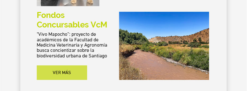 “Vivo Mapocho”: proyecto de académicos de la Facultad de Medicina Veterinaria y Agronomía busca concientizar sobre la biodiversidad urbana de Santiago