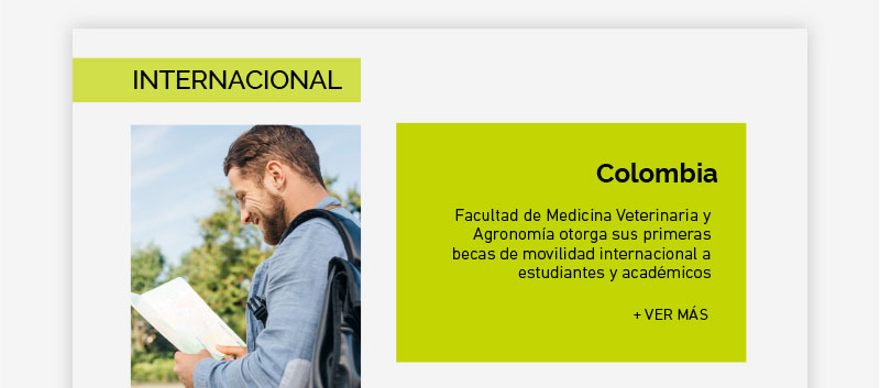 Facultad de Medicina Veterinaria y Agronomía otorga becas de movilidad internacional a estudiantes y académicos