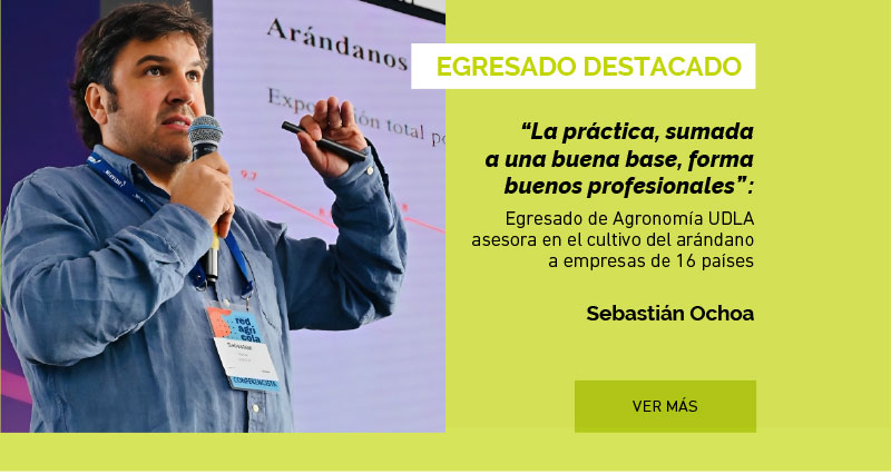 “La práctica, sumada a una buena base, forma buenos profesionales”: egresado de Agronomía UDLA asesora en el cultivo del arándano a empresas de 16 países