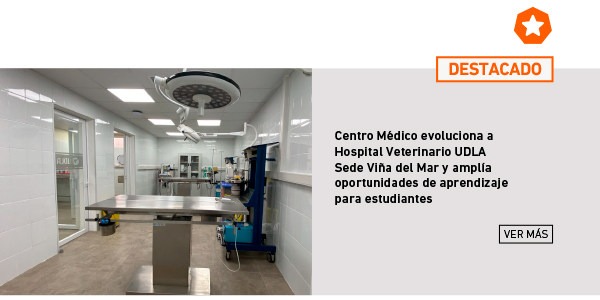 Centro Médico evoluciona a Hospital Veterinario UDLA Sede Viña del Mar y amplía oportunidades de aprendizaje para estudiantes