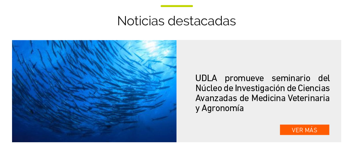 UDLA - Universidad de Las Américas