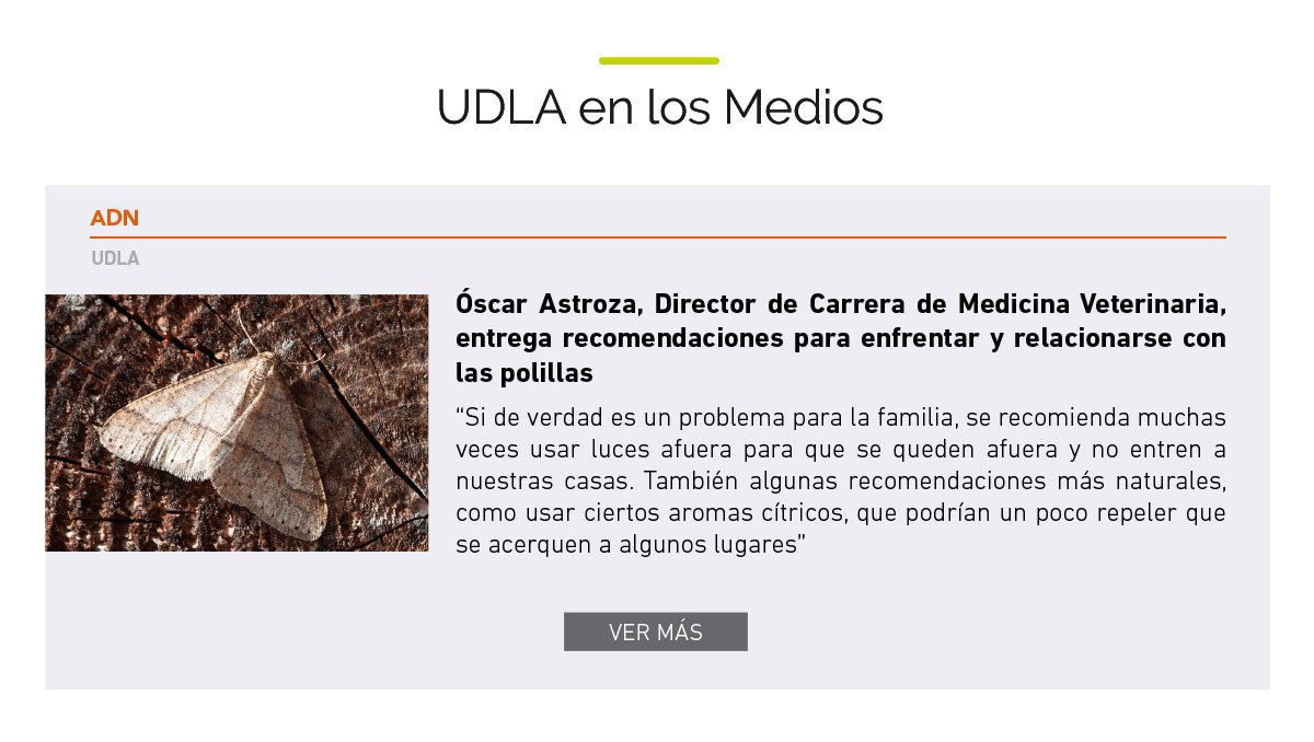 UDLA - Universidad de Las Américas