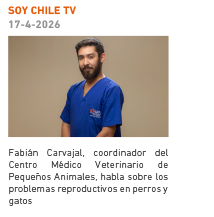 SOY CHILE TV | 17-4-2026 | Fabián Carvajal, coordinador del Centro Médico Veterinario de Pequeños Animales, habla sobre los problemas reproductivos en perros y gatos