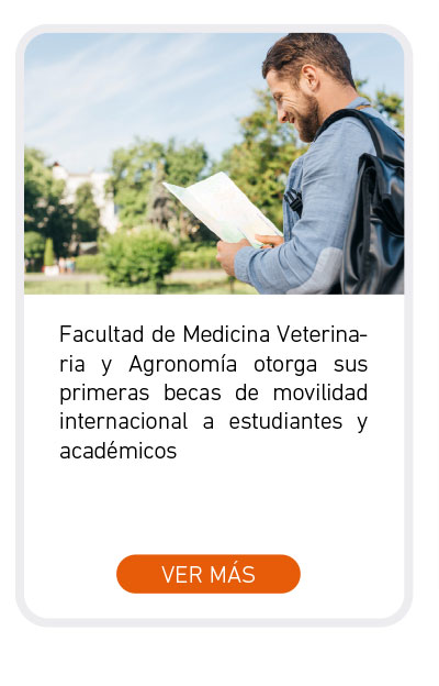 Universidad de Las Américas